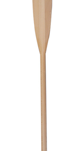 PAGAIA FAGGIO CM.150