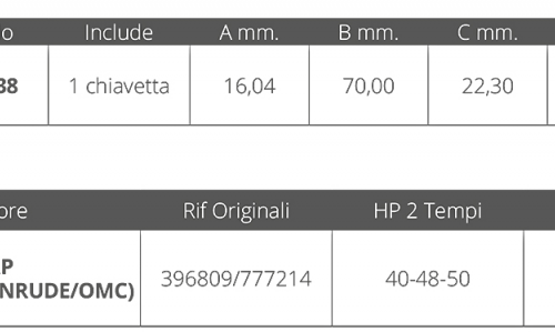 GIRANTE JOHNSON/EV. 2T 40-48-50 HP
