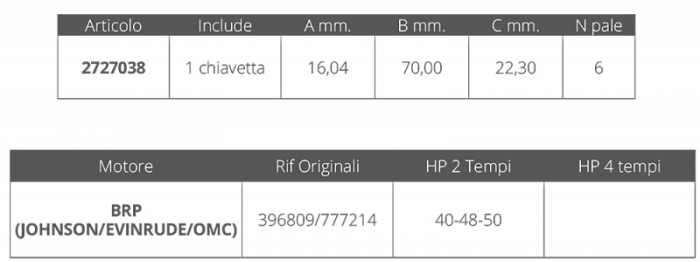 GIRANTE JOHNSON/EV. 2T 40-48-50 HP