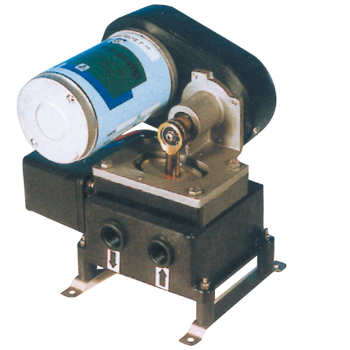POMPA AUTOCLAVE BG117 24 V.