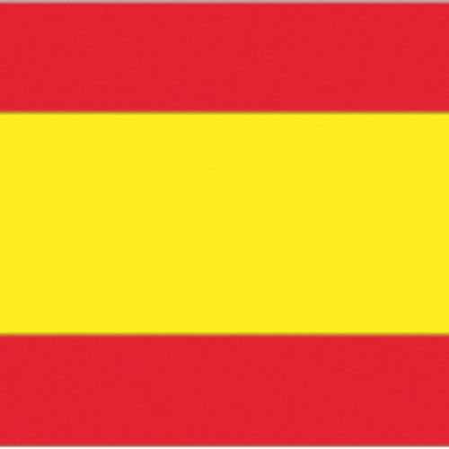 BANDIERA SPAGNA CM.20X30