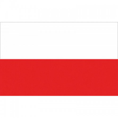 BANDIERA POLONIA CM.20X30