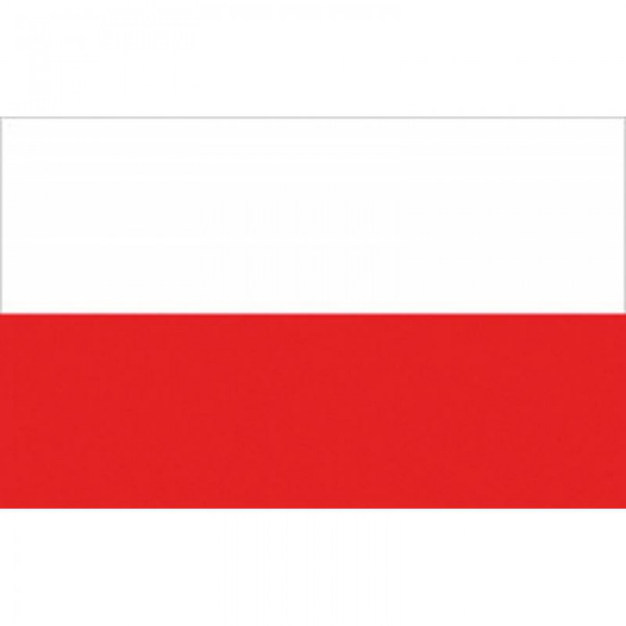 BANDIERA POLONIA CM.20X30
