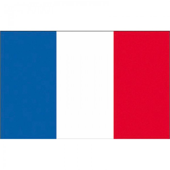 BANDIERA FRANCIA CM.30X45