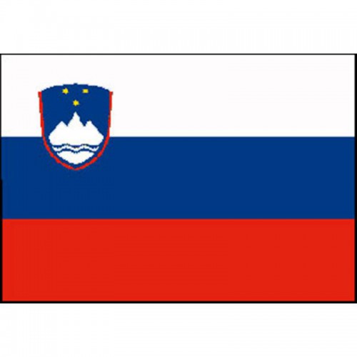 BANDIERA SLOVENIA CM.70X100