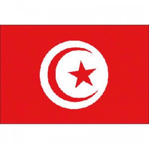 BANDIERA TUNISIA CM.20X30